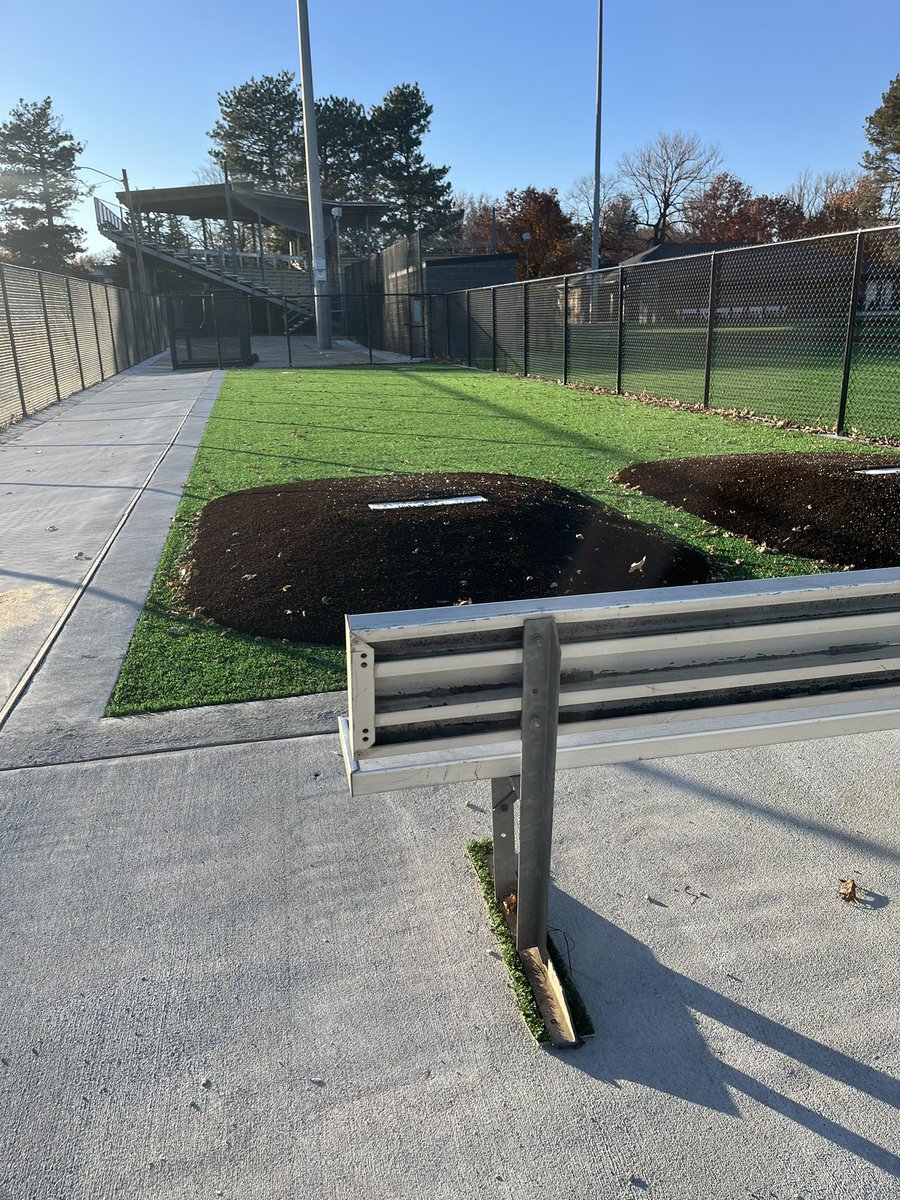 York University Baseball tweet media