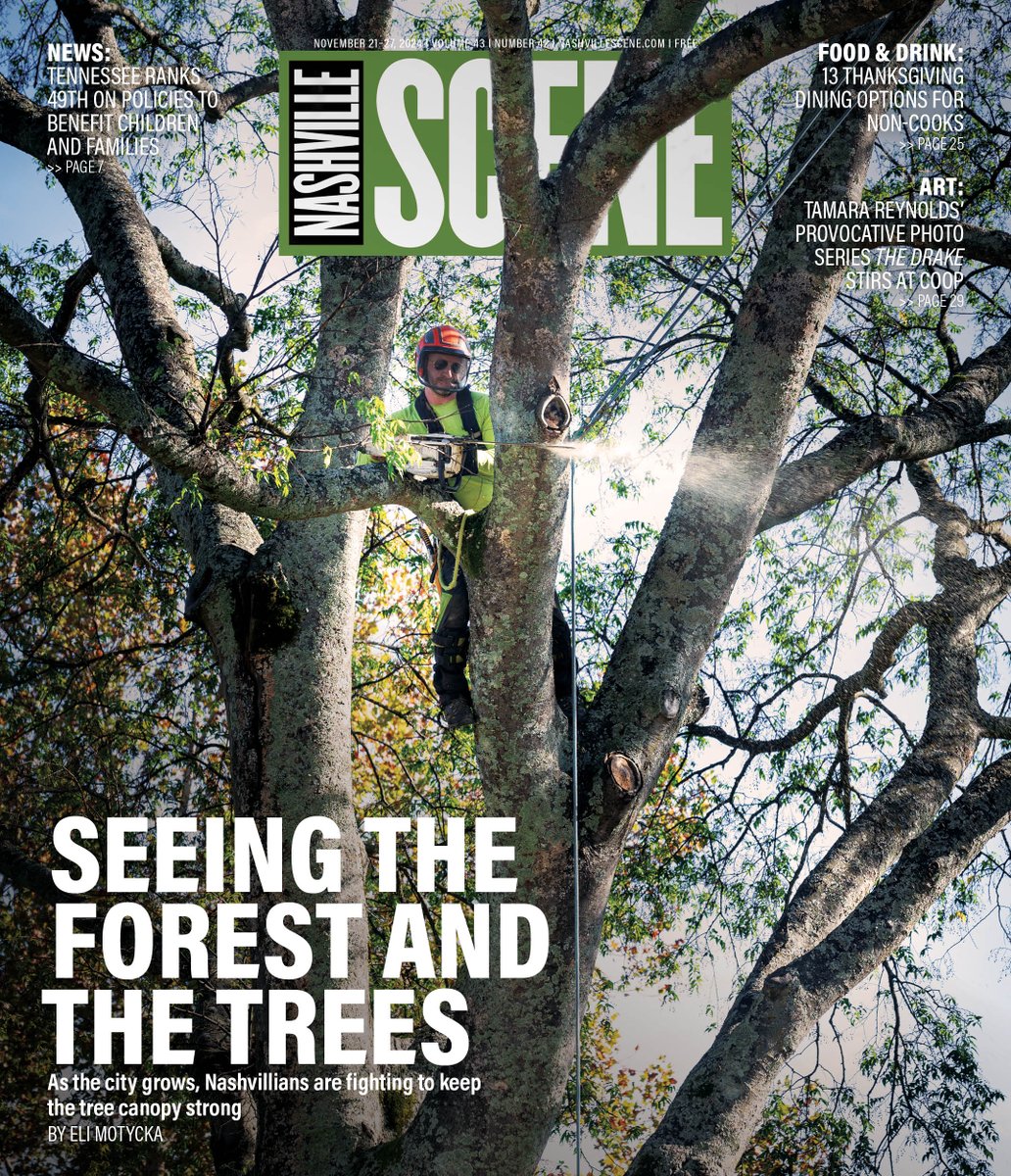 Seeing the Forest and the Trees: As the city grows, Nashvillians are fighting to keep the tree canopy strong.

nashvillescene.com/news/coverstor…