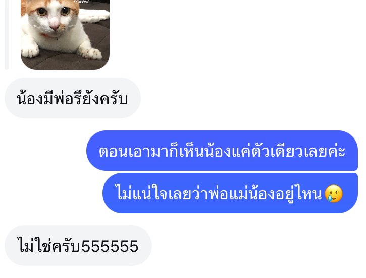 ตื่นมาพึ่งเก็ท โสดโดยความสามารถ .เหม่อ