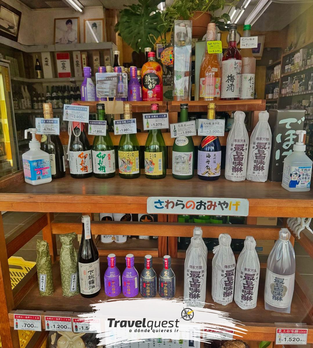 TRAVELQUESTMX's tweet photo. ¡Descubre Japón como nunca antes con TravelQuest! 🌏✈️ Vive un viaje exclusivo lleno de cultura, tradición y aventura. ¡Tu próxima gran experiencia te espera! 🇯🇵✨ #AventuraEnJapón
#ViajeÚnico
#ExploraJapón
#RumboAJapón
#TravelQuestExperience https://t.co/xHDZTazpuF