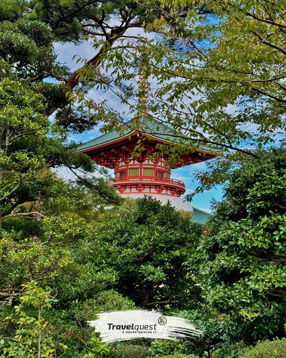 TRAVELQUESTMX's tweet photo. ¡Descubre Japón como nunca antes con TravelQuest! 🌏✈️ Vive un viaje exclusivo lleno de cultura, tradición y aventura. ¡Tu próxima gran experiencia te espera! 🇯🇵✨ #AventuraEnJapón
#ViajeÚnico
#ExploraJapón
#RumboAJapón
#TravelQuestExperience https://t.co/KPIi85yhI6