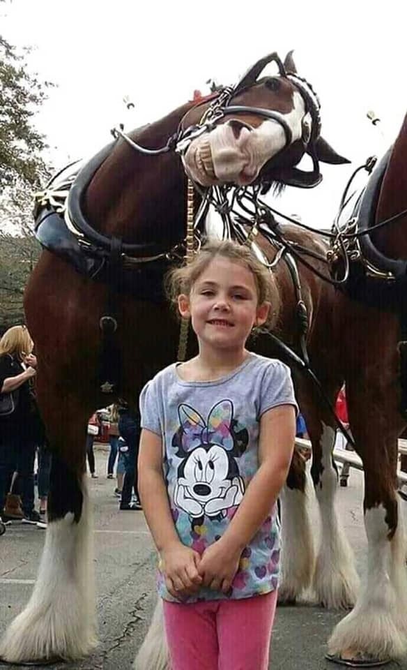 This is what i called photobomb!!