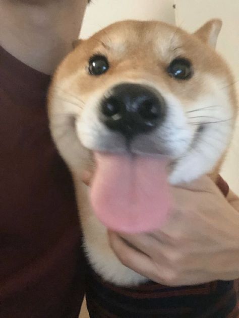 Super Mario! 🪙 tweet media