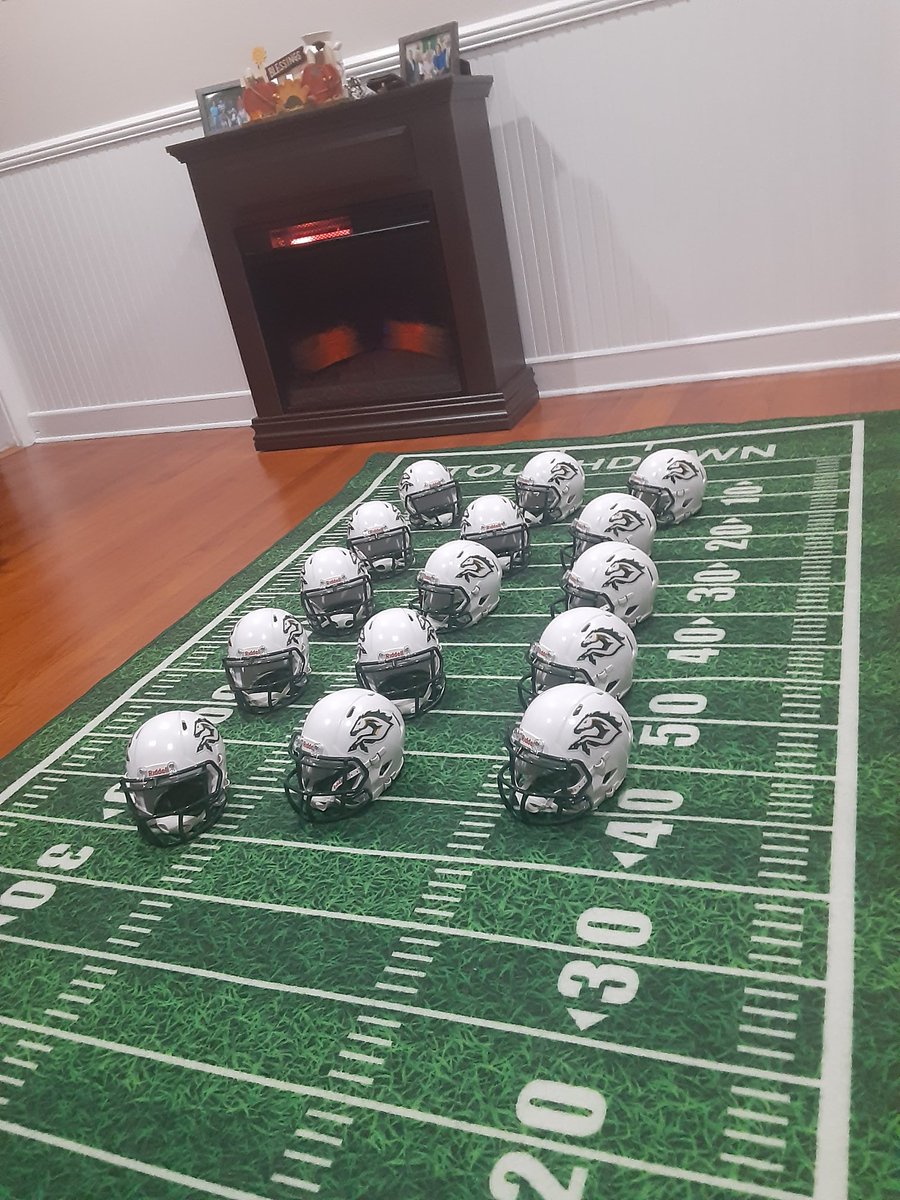 North Jersey Mini Helmets tweet media
