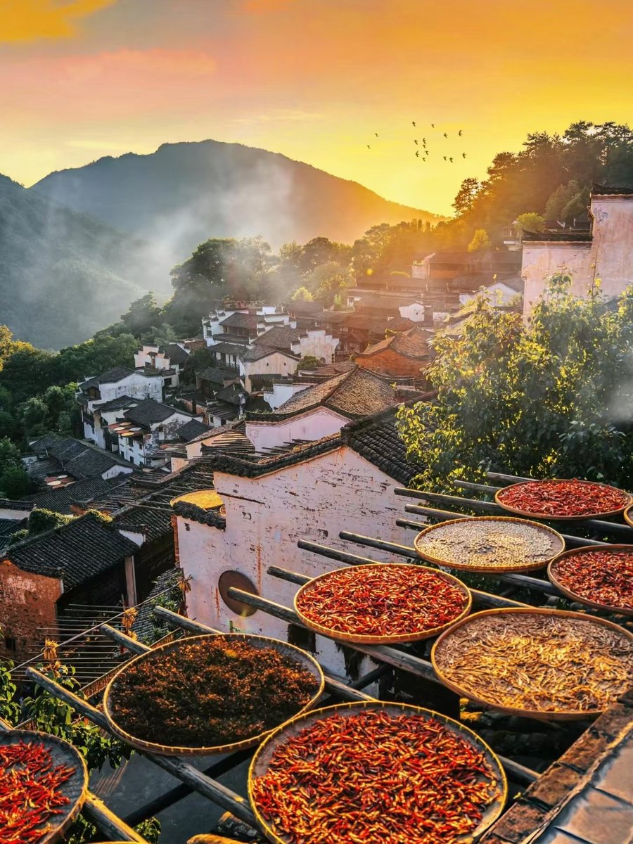 Stella275895191's tweet photo. Huangling's "Sun-drying Autumn" is a traditional Chinese rural activity, where locals dry crops like peppers, corn, and fruits on roofs, creating a vibrant, picturesque scene.
#SunDrying #HarvestSeason #TraditionalCulture #RuralLife #AutumnVibes #follobackforfolloback #folloback https://t.co/vjXgjRGGr5