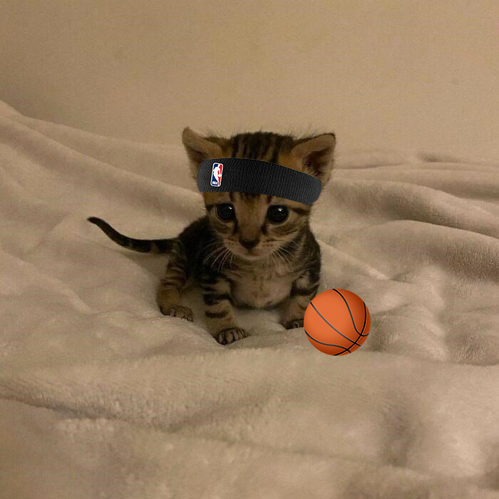 i ball everyday, i don't stop grinding