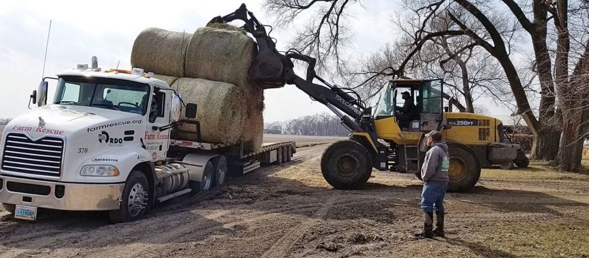 AgroConceptos's tweet image. 🌾 Cuando los farmers necesitan una mano, Farm Rescue está ahí 🚜

En Estados Unidos, Farm Rescue es una organización sin fines de lucro que ha demostrado el verdadero espíritu de comunidad. 💪🌱 Desde 2005, han ayudado a más de 1,100 familias agrícolas a superar momentos…