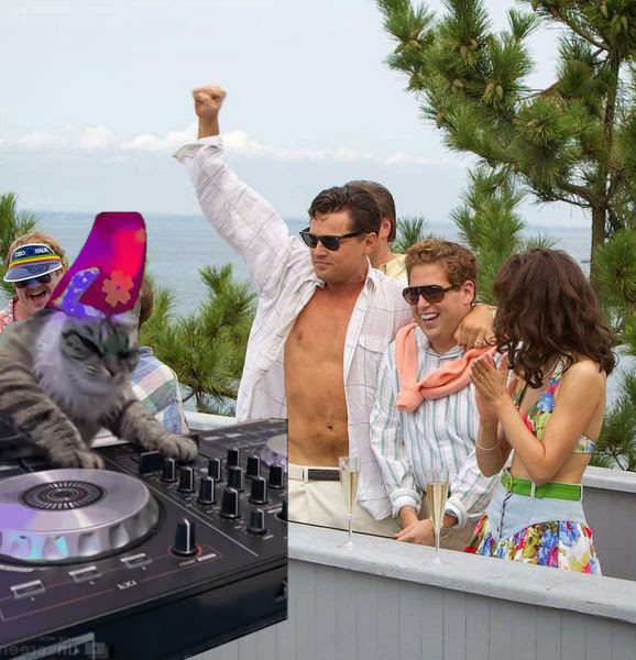 DJCAT $SCRATCH tweet media