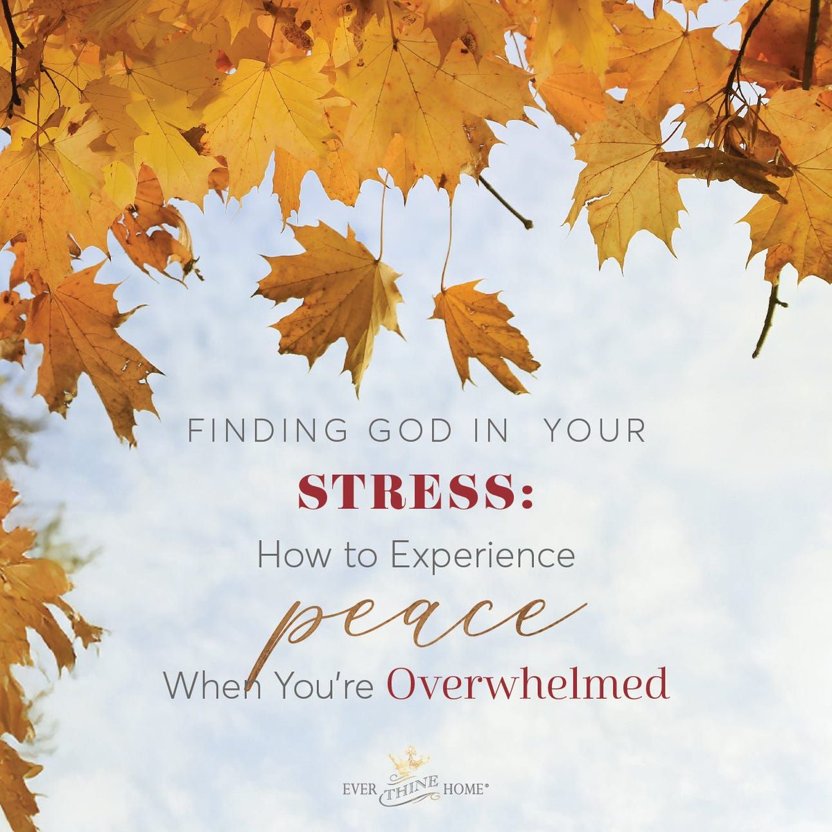 A lesson I’m still learning, but understand more clearly with each decade of life, is that fixing my circumstances is rarely the answer to reducing stress.  

Read more - buff.ly/3CwhK23