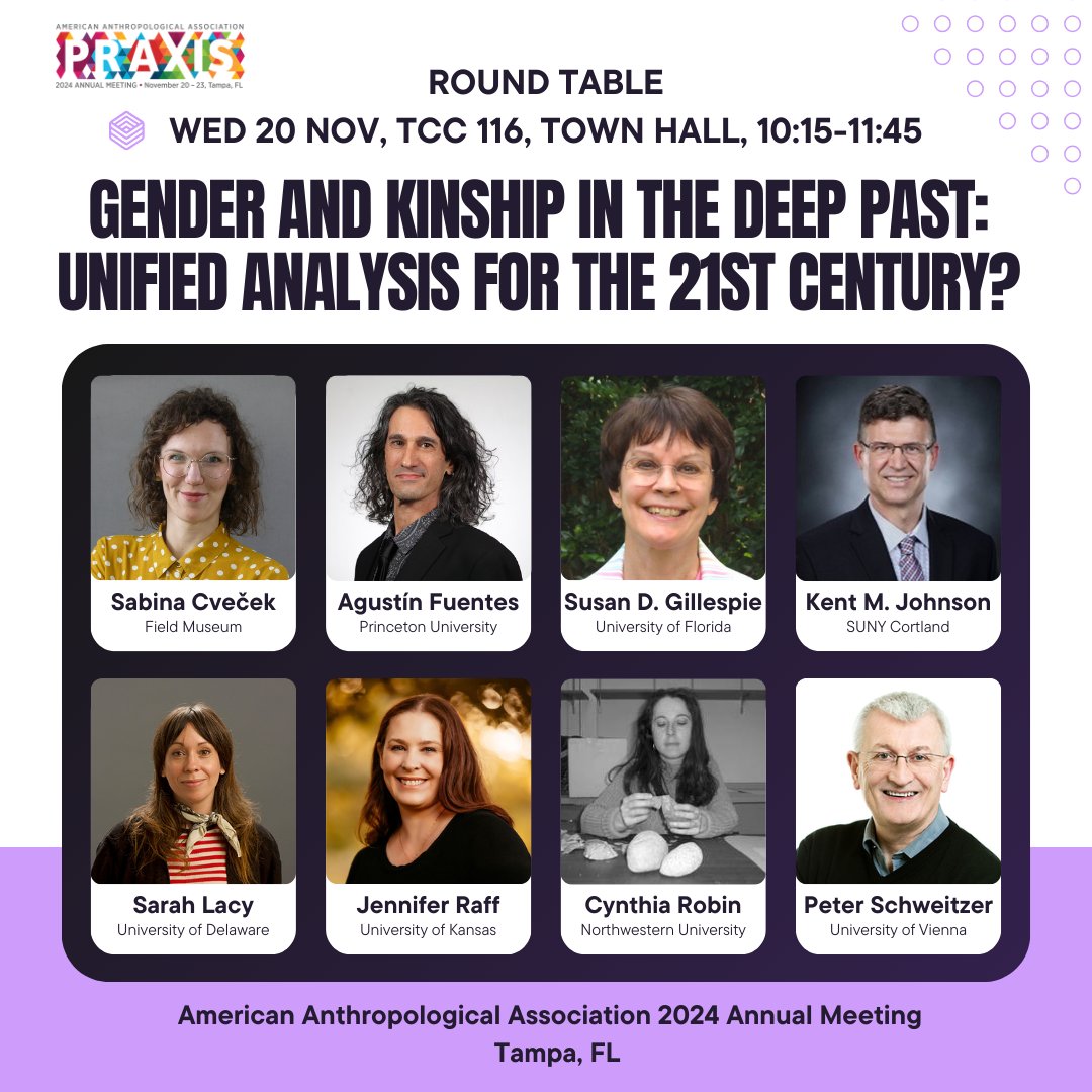 Join us if you are in Tampa this week!  <a href="/AmericanAnthro/">American Anthropological Association</a>