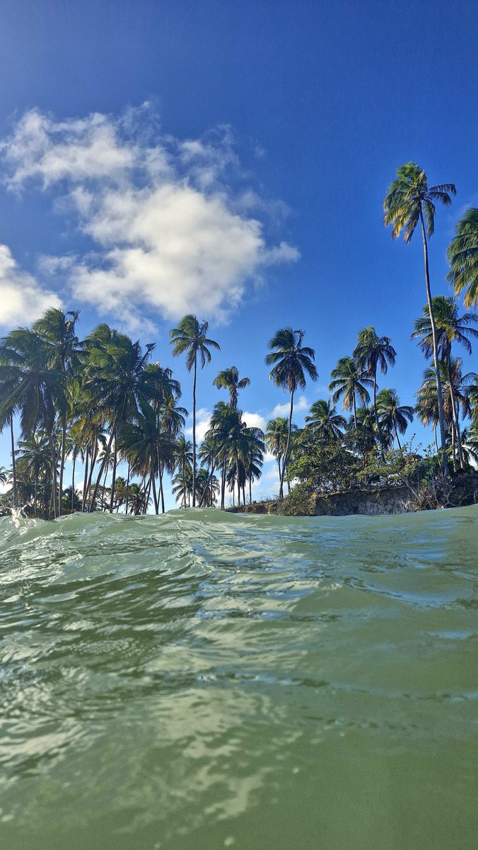 gusfuckingus's tweet photo. alagoas segue sendo a maioral, segundei com a praia toda só pra mim 🥲 https://t.co/Ev3WQjhwSM
