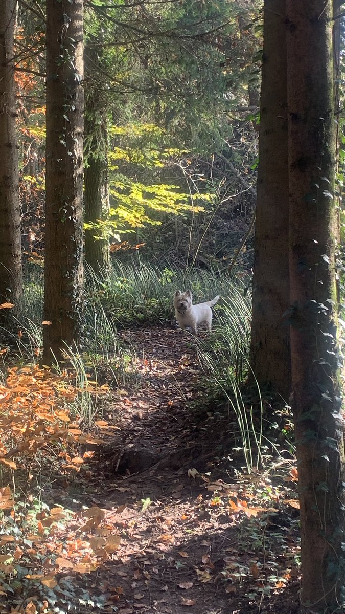 “Y donde se quedó este weon”