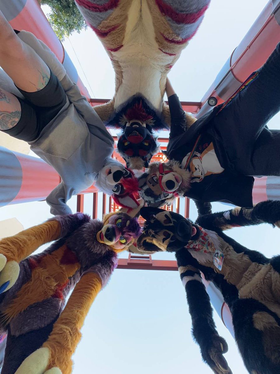 Big toofs tweet media