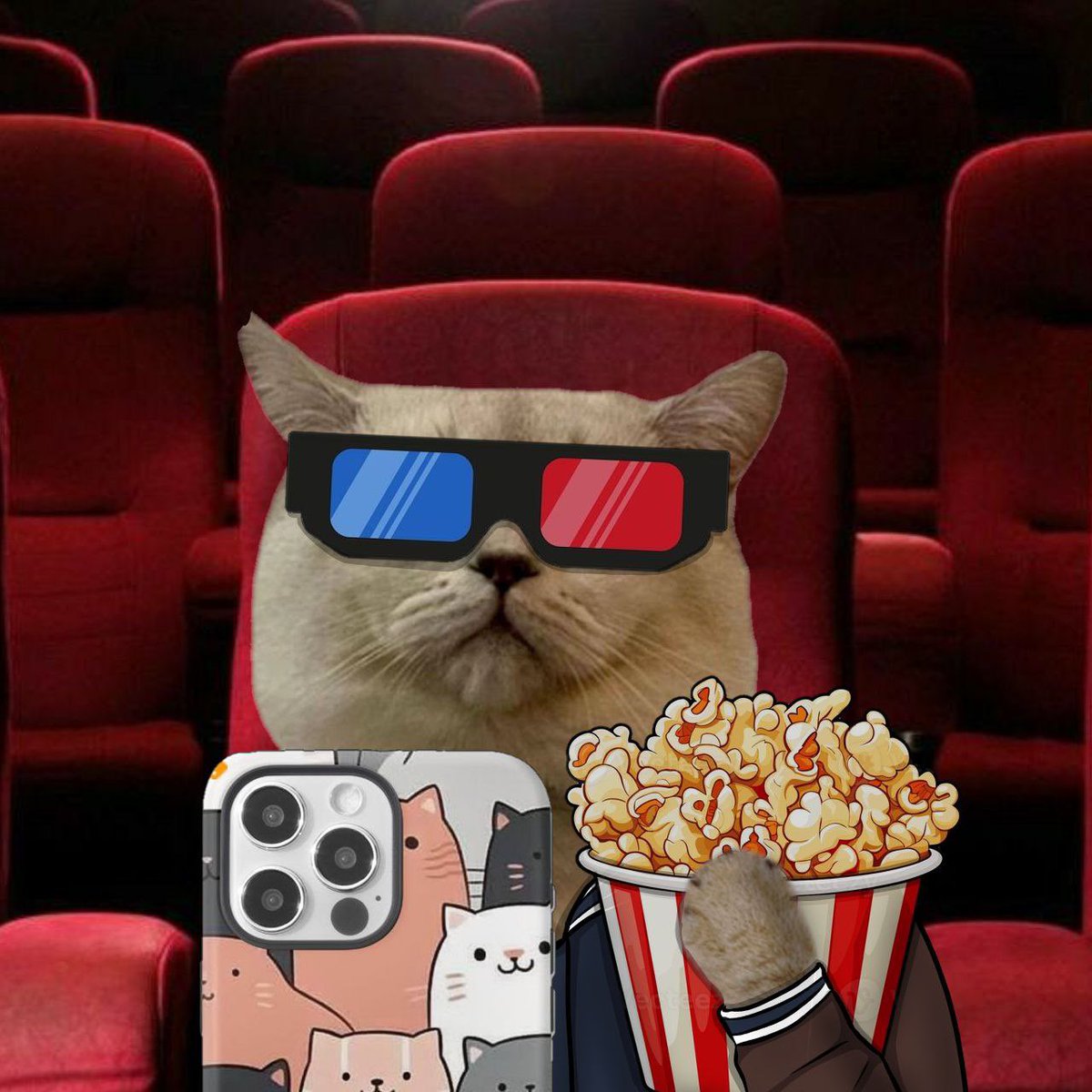 Selfie Cat tweet media