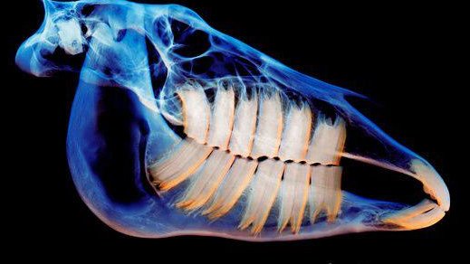 Earth & Beyond tweet media