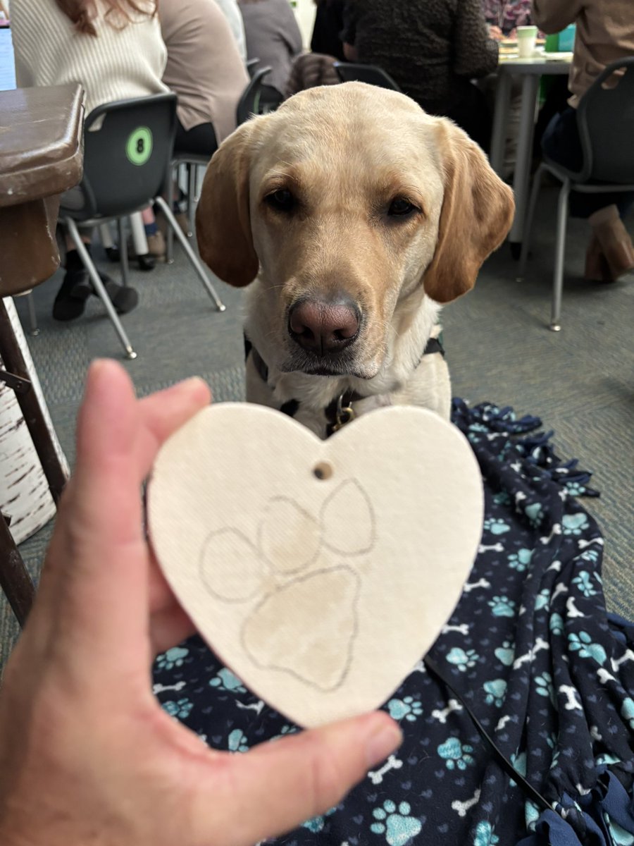 Brenda Pfau tweet media