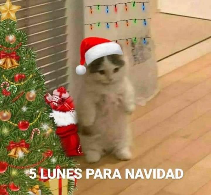 En Júpiter (@en_jupiter_) on Twitter photo 