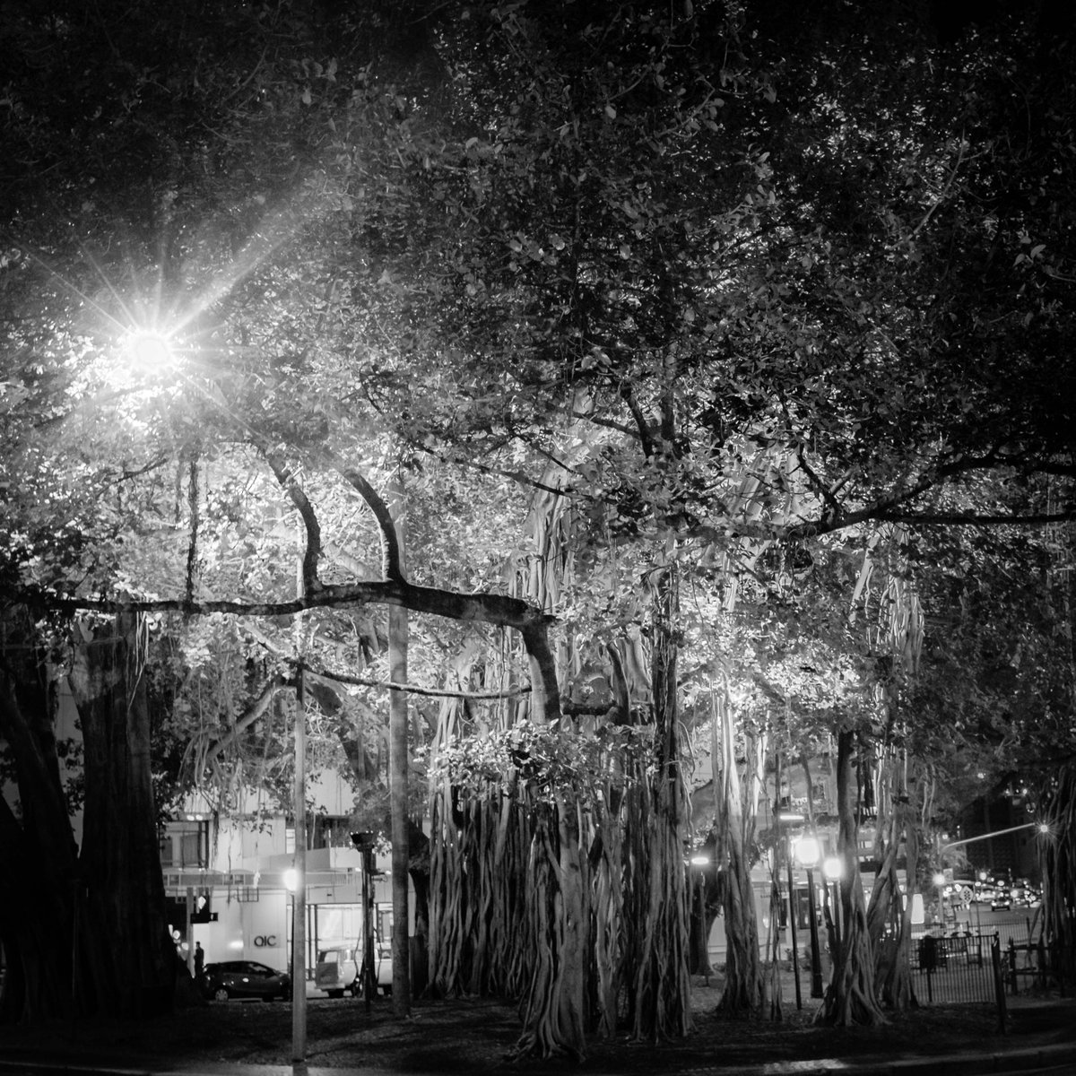 petathames's tweet image. I'm hanging out now at peta.thames.au. It might not be better but dear god it can't be worse