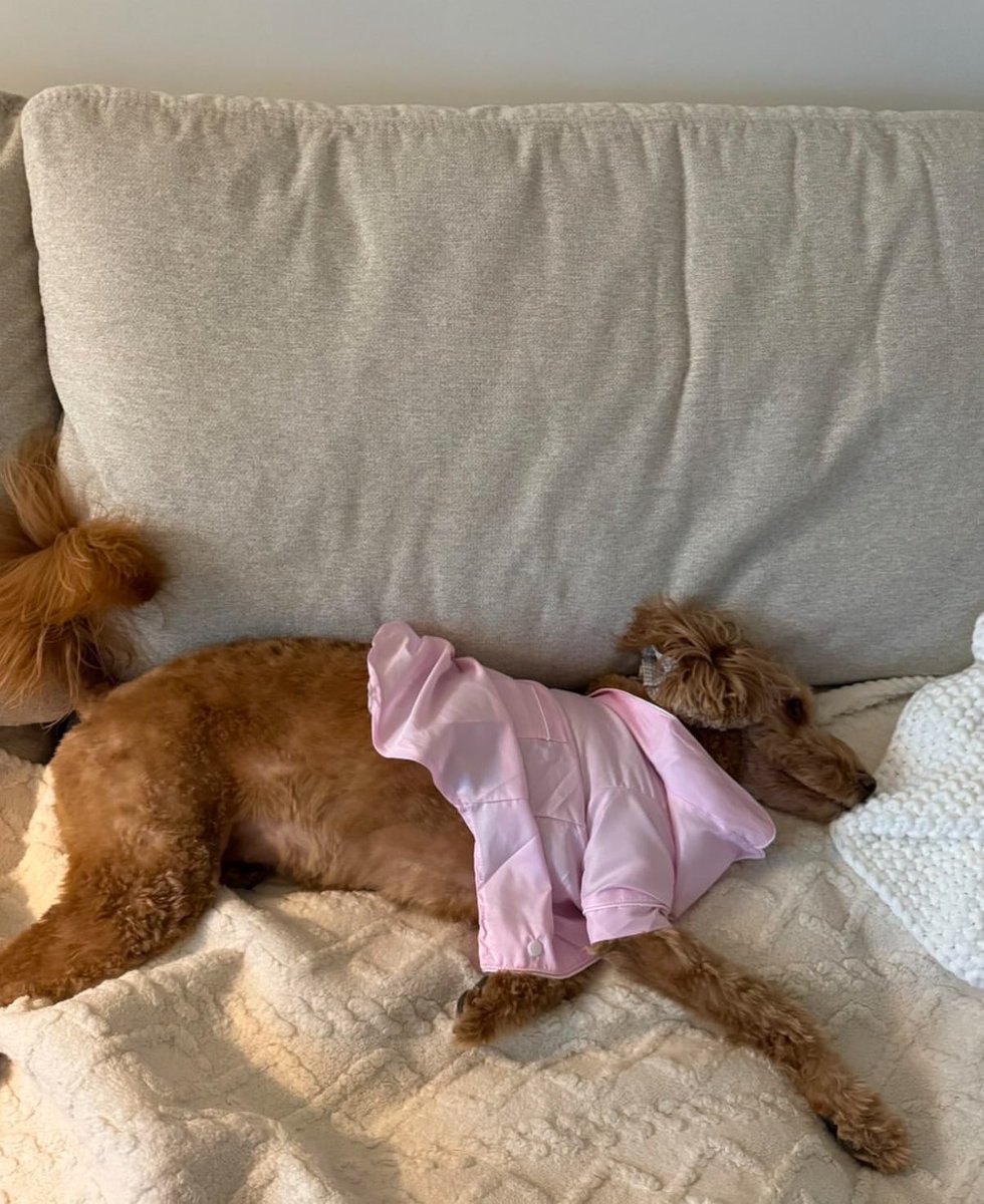 deoghuyo's tweet photo. 왘 왘 왘!!!!!!!!변요한 미쳤나!!!!!!존나 남자 진짜 남자 완전 남자!!!!!!! https://t.co/tTKV88eeGR