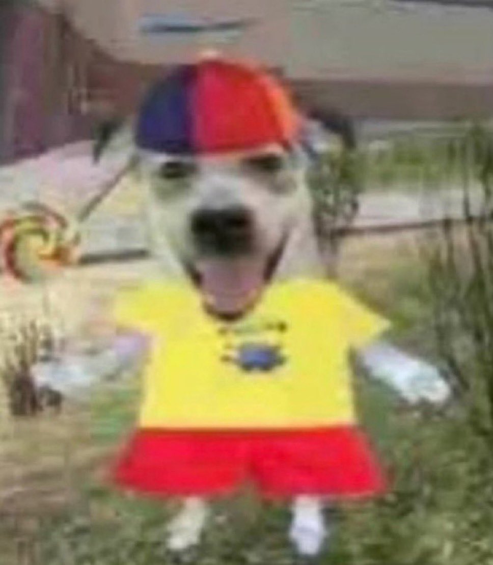 me knowing I’m a college educated elitist blue city liberal