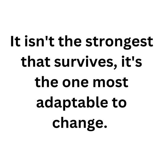 thebigoknows's tweet image. 