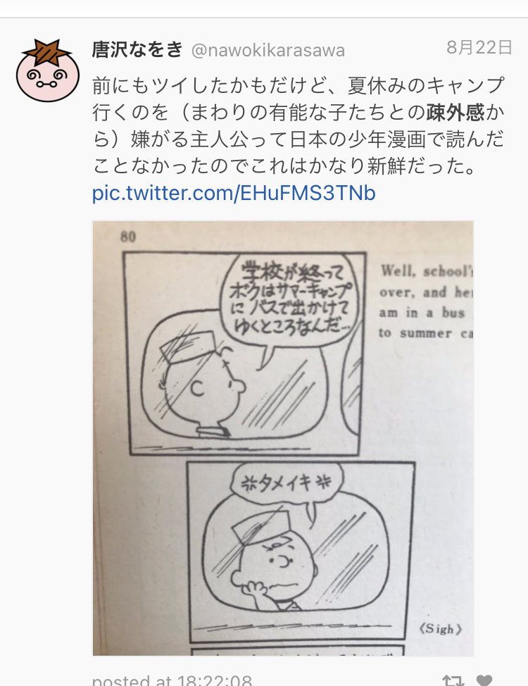子供にピーナッツ読み聞かせしてやってたの思い出した。もう覚えてないだろうな。 