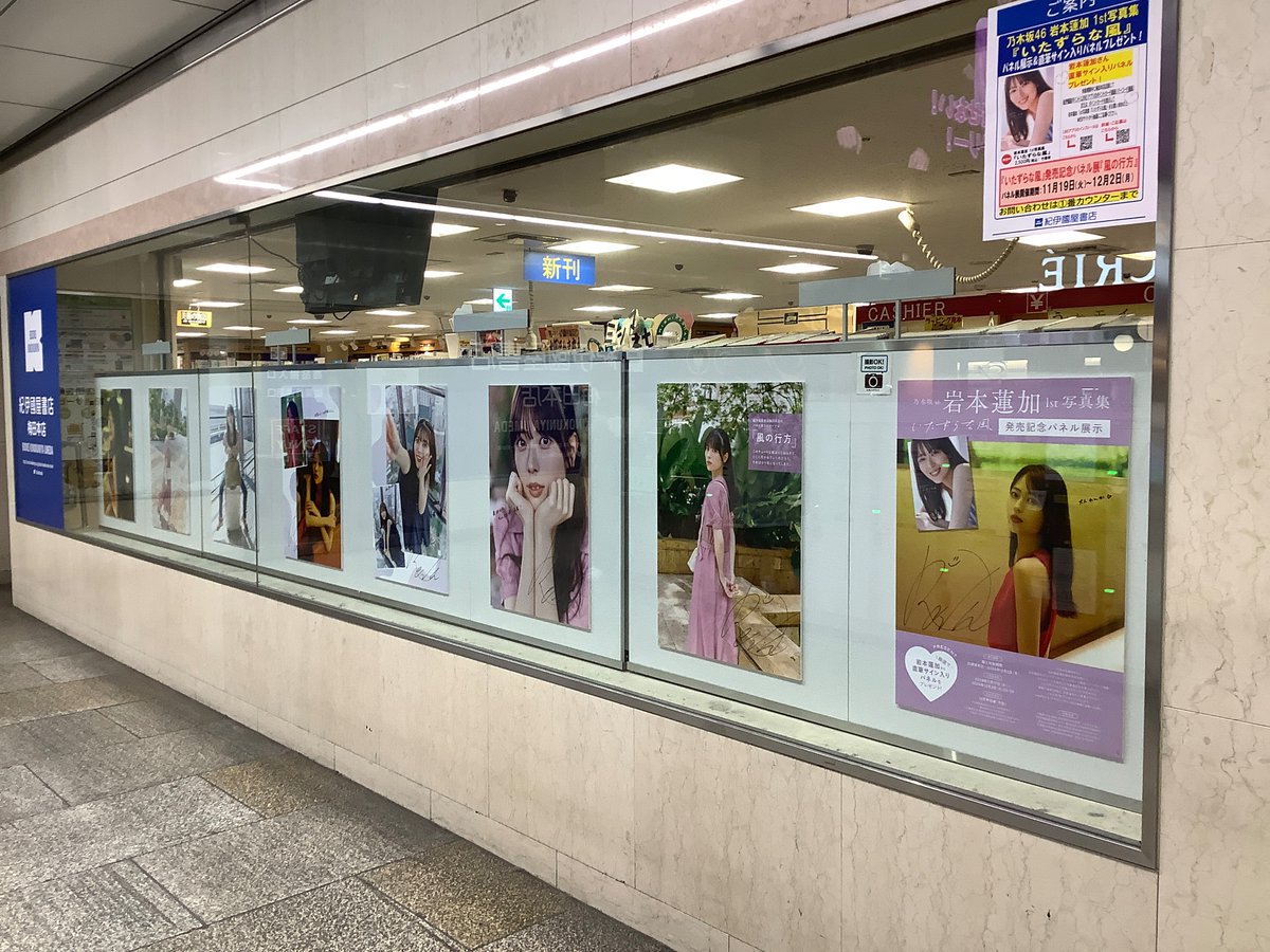 乃木坂46 いたずらな風 岩本蓮加 直筆サイン入り抽選パネル 岩本蓮加