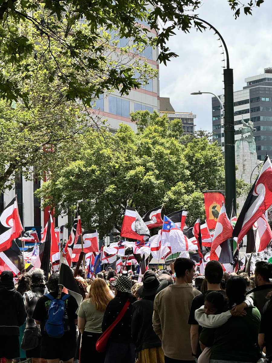 aatarau's tweet photo. absolutely incredible turnout in pōneke for the hīkoi today https://t.co/3DGurcyWG3