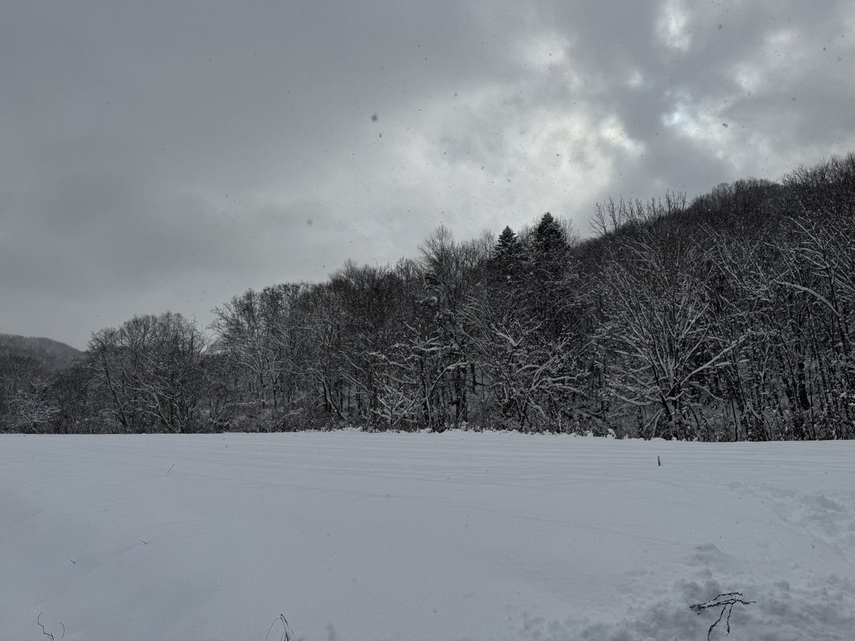 喜茂別知来別にきました
