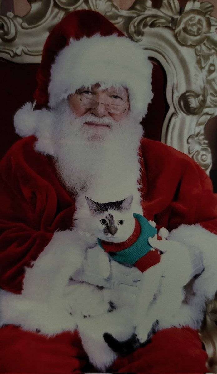 I really wanted to go see <a href="/Pink/">P!nk</a> tonight, but I had to oversee Santa training (yes, my life is weird). I'm bummed I'm not at the concert, but I ended up with this absolutely iconic photo of Whiskey and Santa.