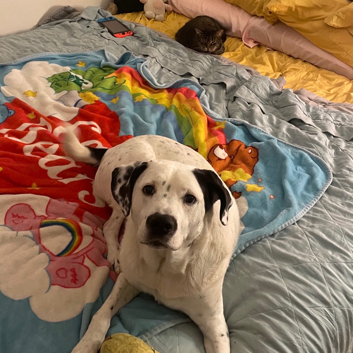 their friendship simply delights me