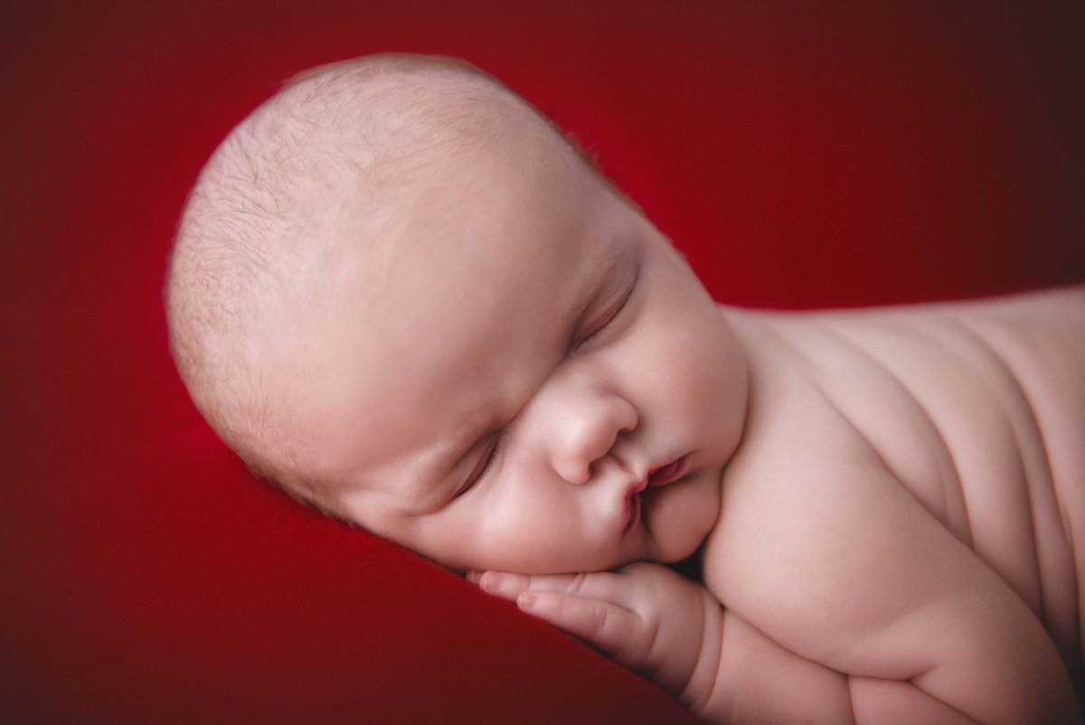 bethhannel's tweet photo. #newbornphotos https://t.co/uDS76aWckX