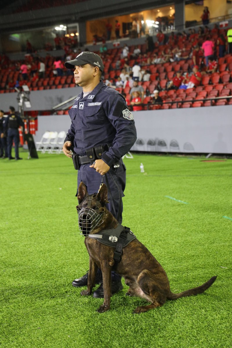 policiadepanama's tweet image. Panamá disfruta del emocionante partido⚽️, nos mantenemos presente velando por tu seguridad. #VamosPanamá
