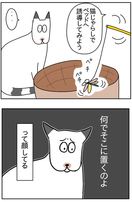 ② 