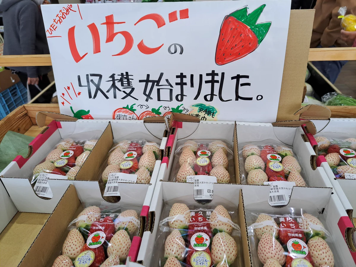 道の駅常陸大宮〜かわプラザ〜 on X: 