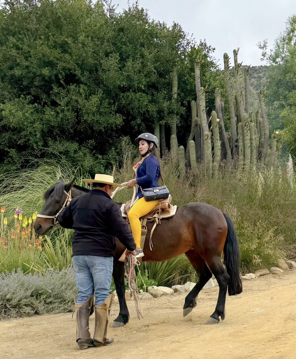 Dejé algunas notas de mi diario de #winelover en Insta. Ay, sé que es pecado tuitero poner el IG aquí excepto después un hit tweet, jaja, pero aceptémoslo, esta humilde cuenta esta a años luz de uno y somos los mismos poquitos amigos acá y allá, visítenme. instagram.com/reel/DCfK3EvK5…