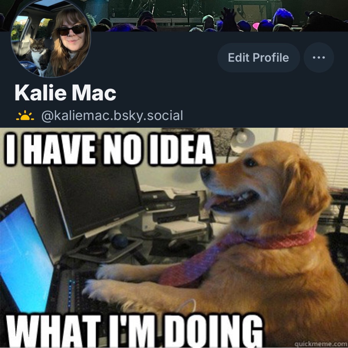 Kalie 🌞 tweet media