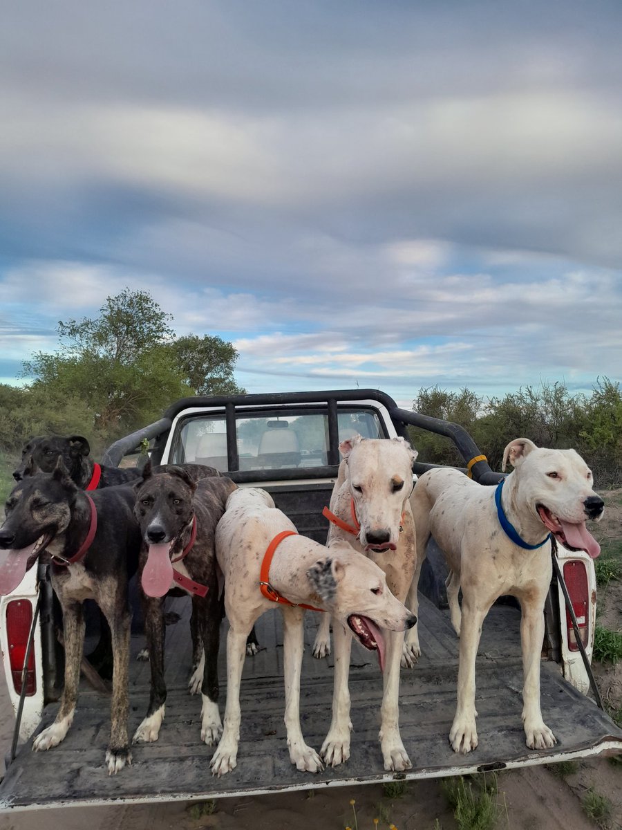 baigorria_j's tweet photo. 2025 vamos con td🐕🫡💖 https://t.co/W5LD5VkTR7