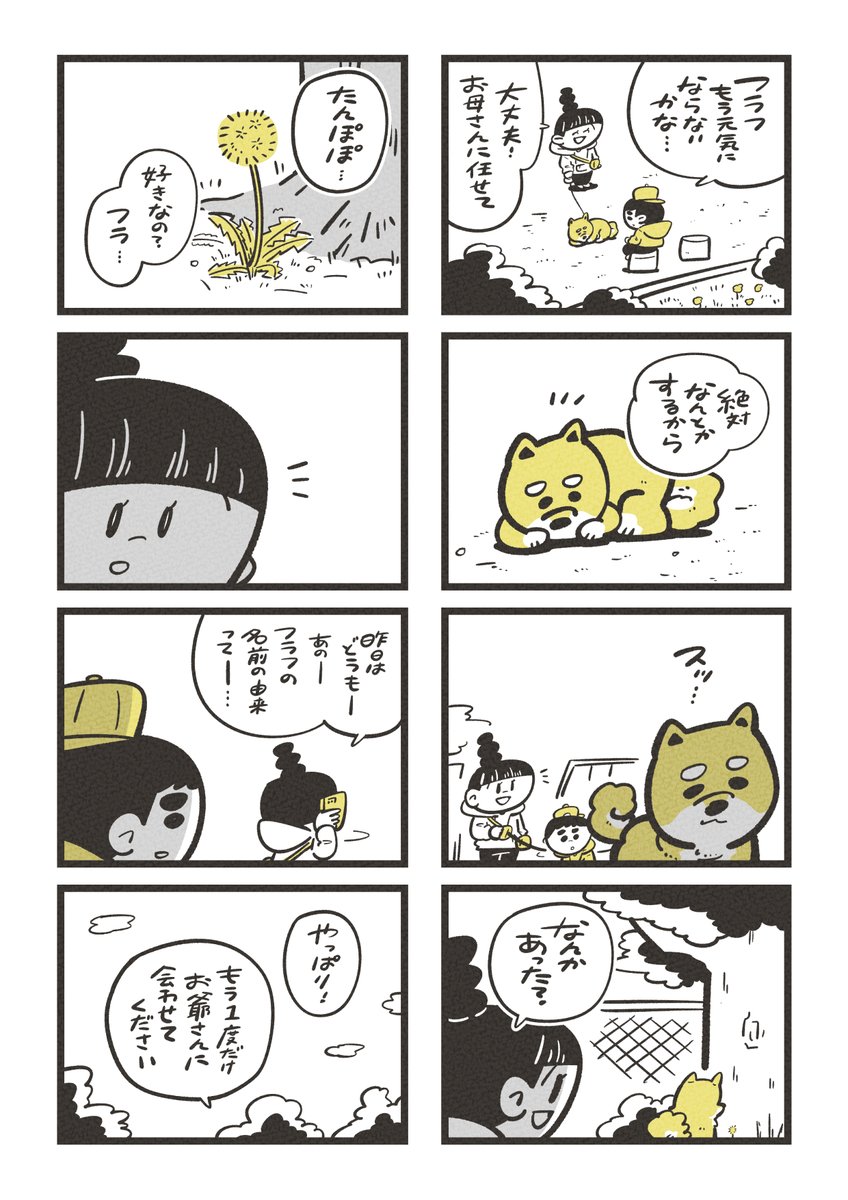 漫画:「おじいさんとフラフ」 (2/3) 