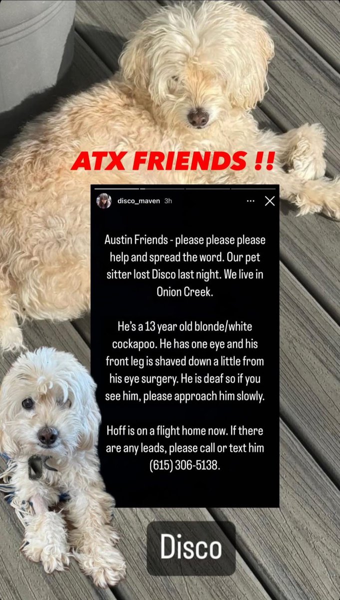 Lost dog in Austin - He was last seen at the corner of pinehurst and pebble beach in 78747.