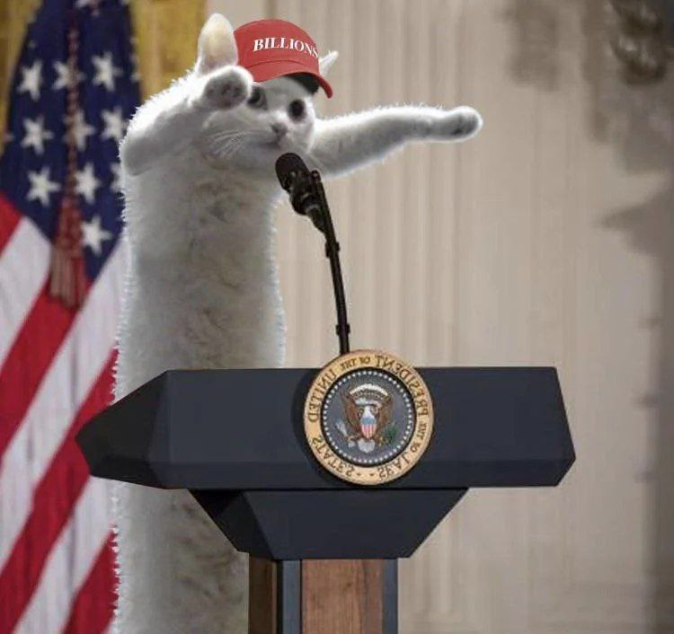 LongCat CTO tweet media