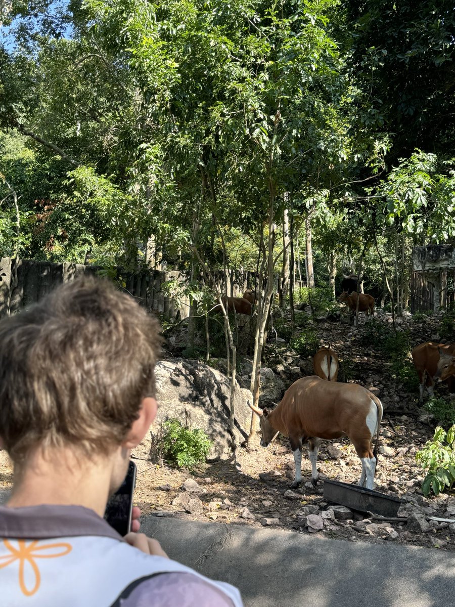 KhaokheowZoo's tweet photo. วิทาลิก บูเทอริน ผู้สร้างเหรียญ  Ethereum อภิมหาเศรษฐี คริปโทเคอร์เรนซี แวะมาดู "น้องหมูเด้ง" @VitalikButerin

#Moodeng
#khaokheowzoo https://t.co/11oCcuX0u7