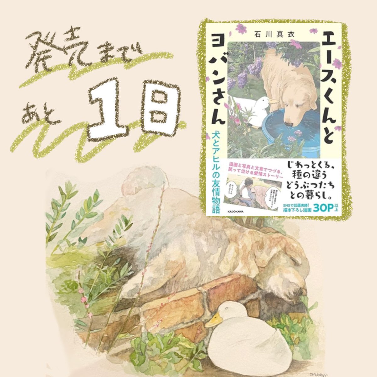 発売まであと1日です🐾
よろしくお願いします🦮🪿📚
ご予約Amazon→ https://t.co/kKH679L6WO
書籍発売/2024年11月20日
『エースくんとヨバンさん 犬とアヒルの友情物語』/KADOKAWA
#エースくんとヨバンさん