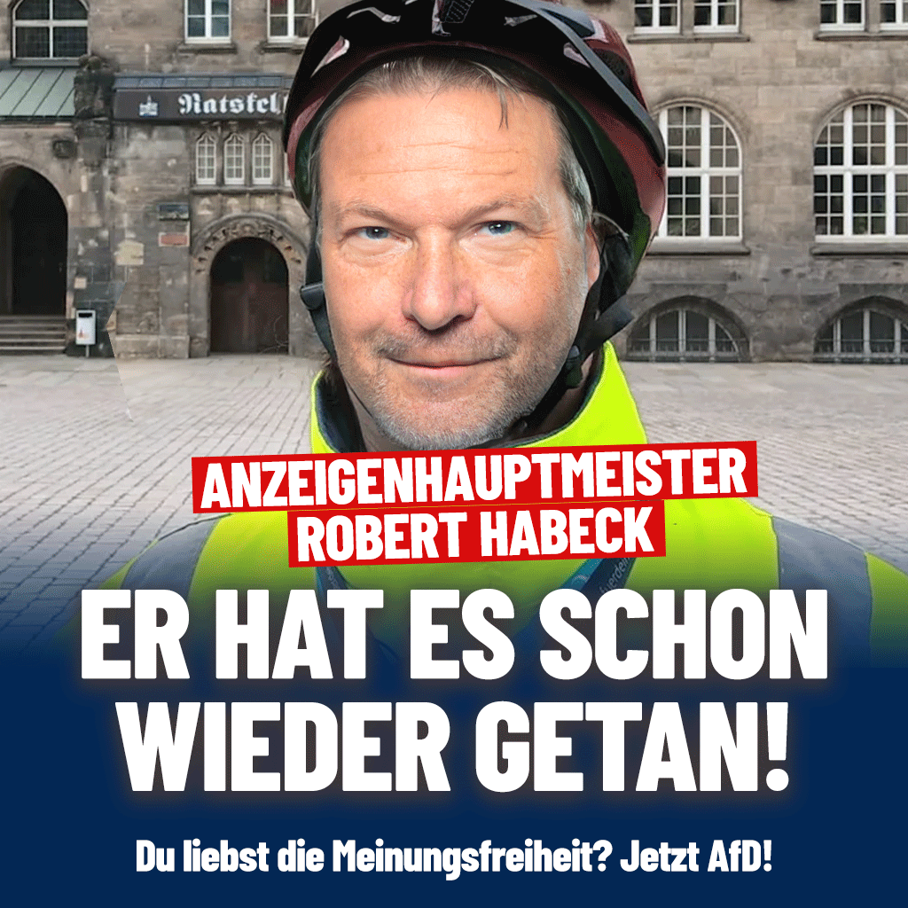 AfD tweet media