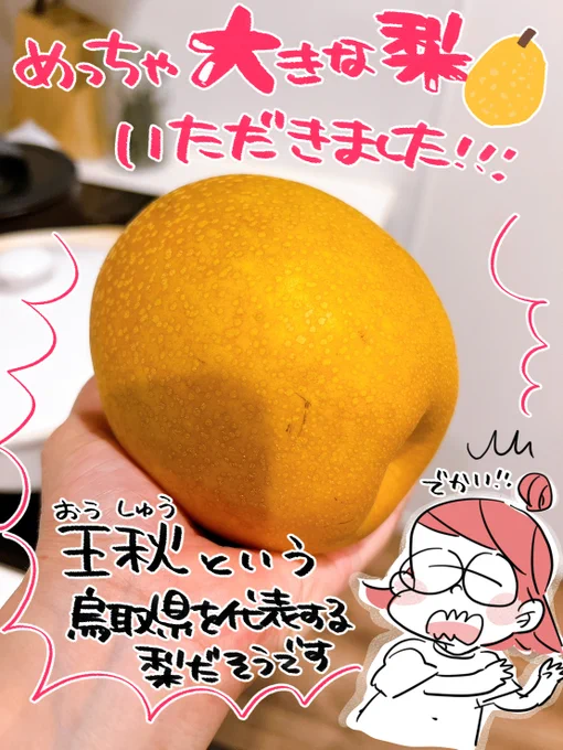 なしやワークス(@yz_engei)さんの王秋梨をいただきました!!「恐竜の卵」って呼ばれてるんですって!可愛すぎるやん…
梨って夏の食べ物じゃなかったんだ…!
この季節にこんなみずみずしい梨を食べることができるなんて…めちゃくちゃ美味しかったです…!でっかい梨!
最高! 