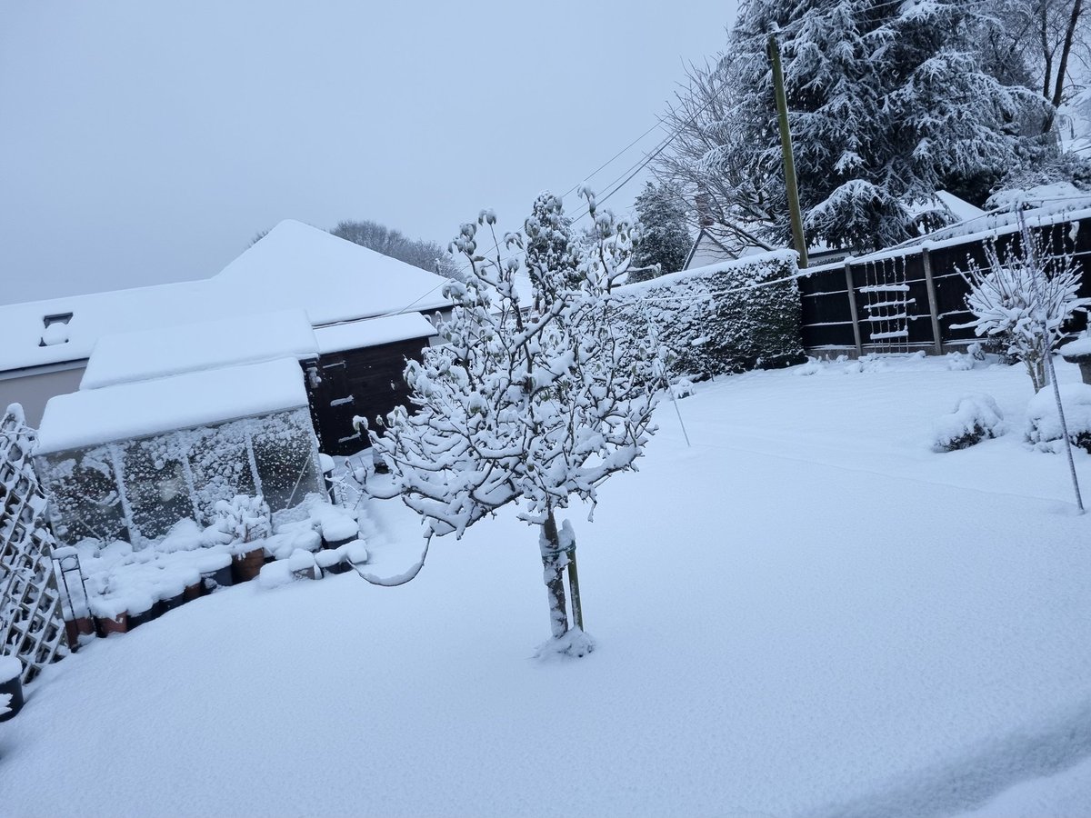 VioletDandy's tweet photo. ❄️❄️❄️ https://t.co/wgVNRPgUMR