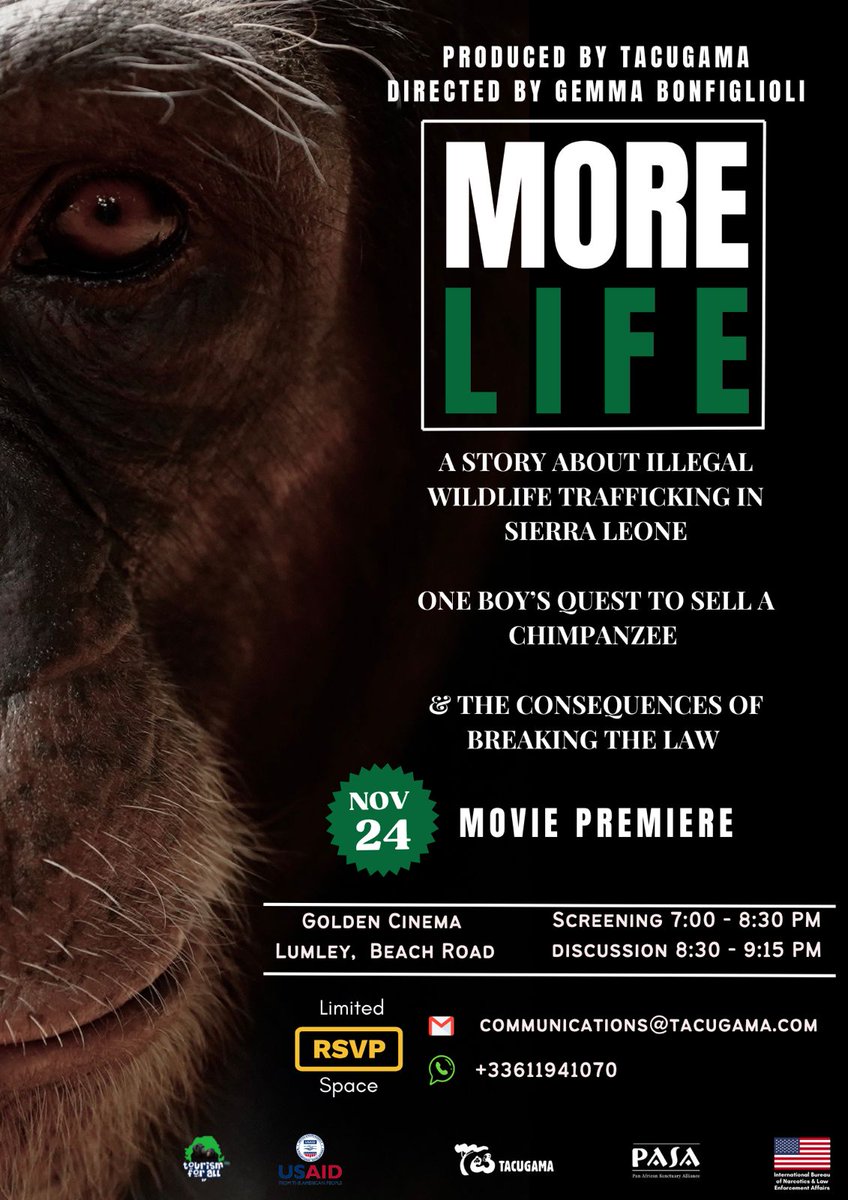 Tacugama (@tacugama) on Twitter photo ๐ More Life Premiere!๐
๐ Date: Sunday November 24th
๐ฐ๏ธ Time: 7PM
๐ Location: Golden Cinema
๐ฐ Free of Charge
๐๏ธ RSVP:
๐ง communications@tacugama.com
Whatsapp: +33611941070
Thank you to support from <a href="/pasaprimates/">PASA Primates</a> @wabiled and #INL for making this possible. ๐ More Life Premiere!๐
๐ Date: Sunday November 24th
๐ฐ๏ธ Time: 7PM
๐ Location: Golden Cinema
๐ฐ Free of Charge
๐๏ธ RSVP:
๐ง communications@tacugama.com
Whatsapp: +33611941070
Thank you to support from <a href="/pasaprimates/">PASA Primates</a> @wabiled and #INL for making this possible.