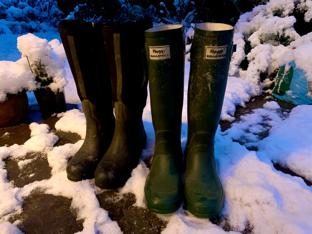 Clare Rowson tweet media