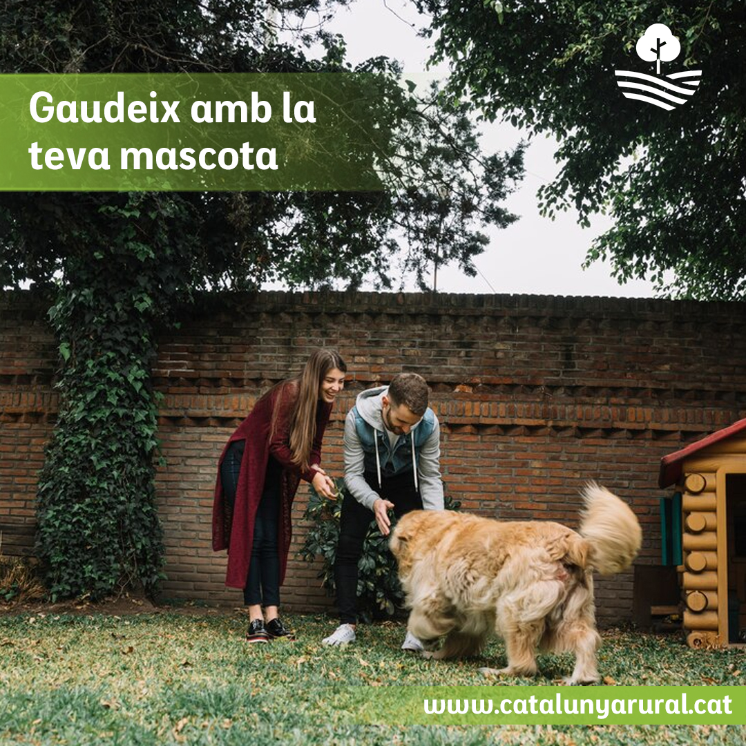 Celebra el Cap d'Any amb la mascota! 🎉 Tria una casa rural Pet Friendly i gaudeix de les festes amb la millor companyia, en plena natura i en un entorn acollidor.

Descobreix allotjaments Pet Friendly 👉 goo.su/3cwDa

#CatalunyaRural #PetFriendly #CapDAnyRural