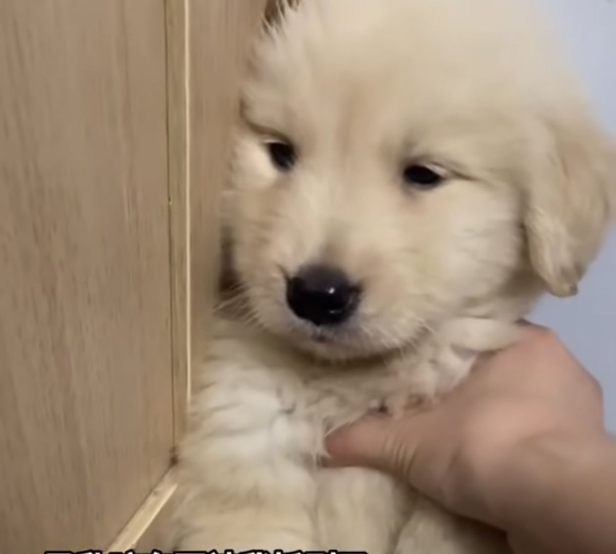 ป่อย เค้าไม่ได้ดื้อน้ะ ไม่ได้ซนดวย เค้าแค่น่ารักไปวันๆ